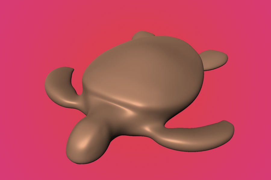 Turle Process Image 1