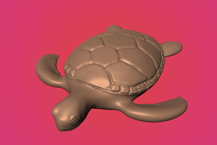 Turle Process Image 2
