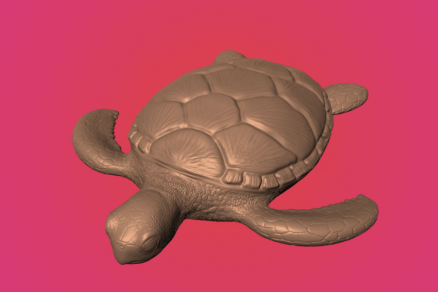 Turle Process Image 3