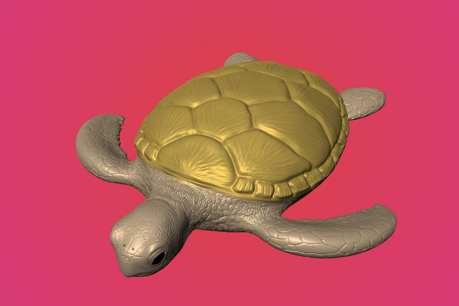 Turle Process Image 4