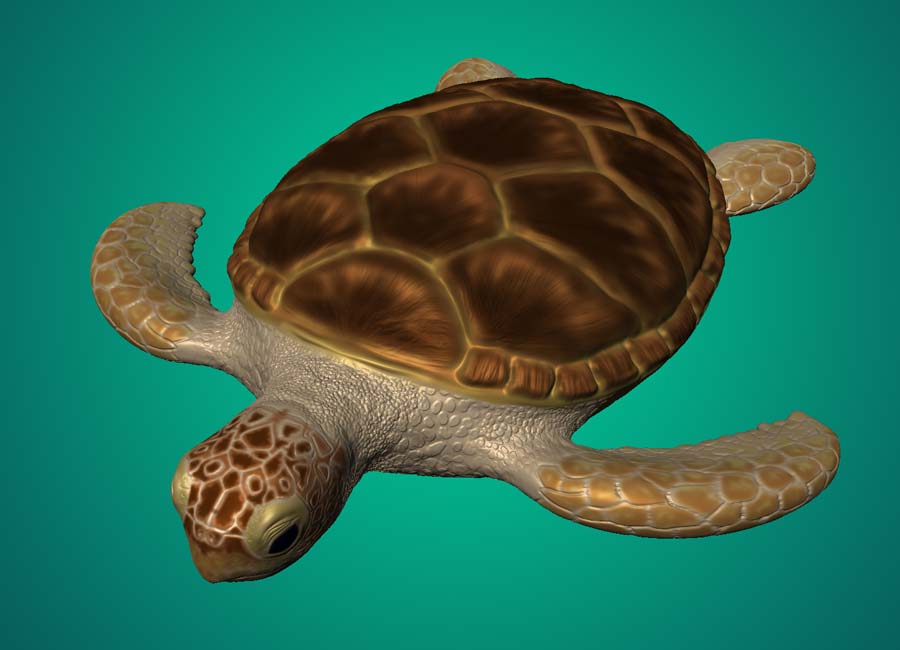 Turtle Sculpture Image